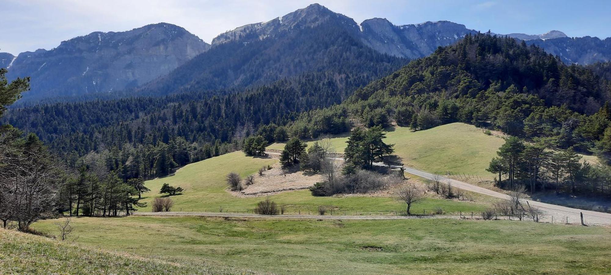 Les Vagabonds Du Mont Panzió Chichilianne Kültér fotó