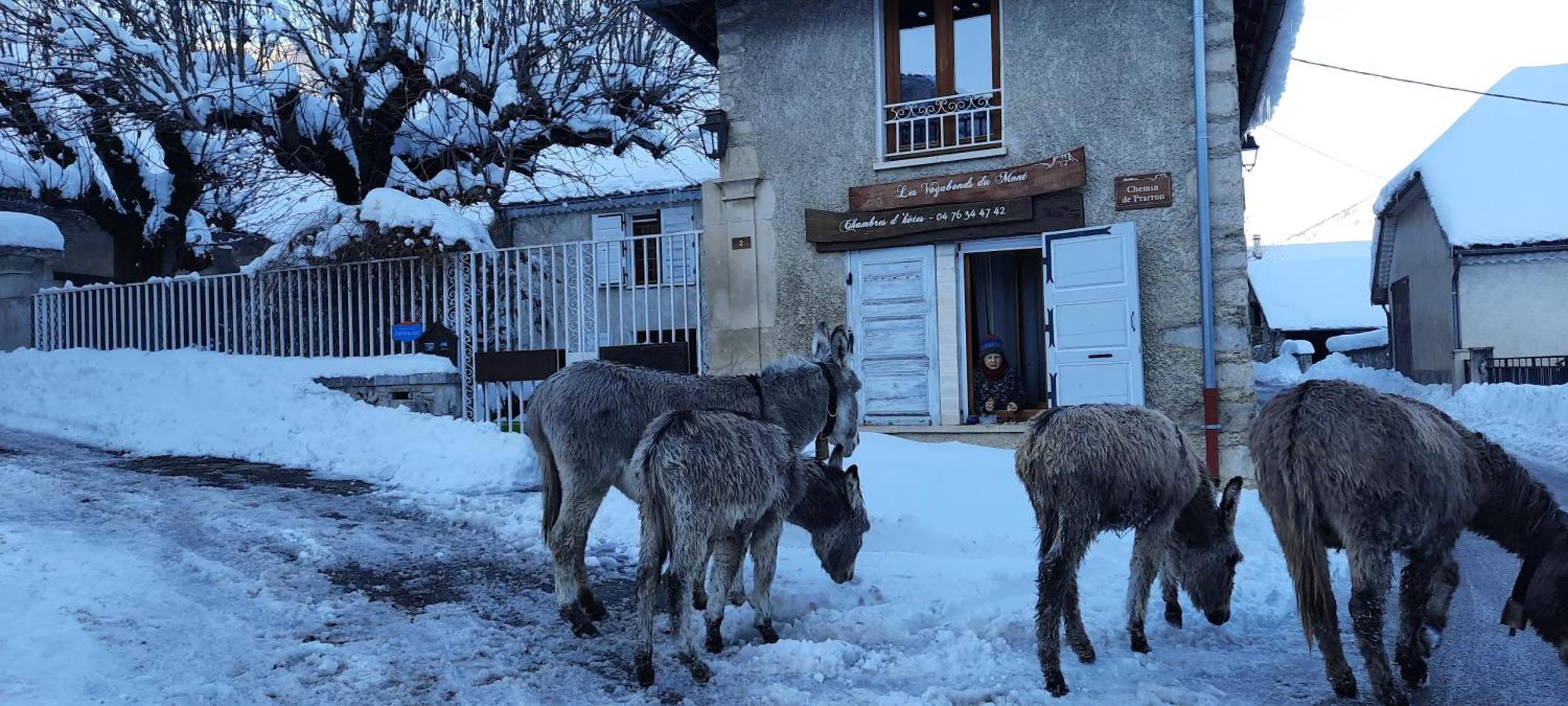 Les Vagabonds Du Mont Panzió Chichilianne Kültér fotó